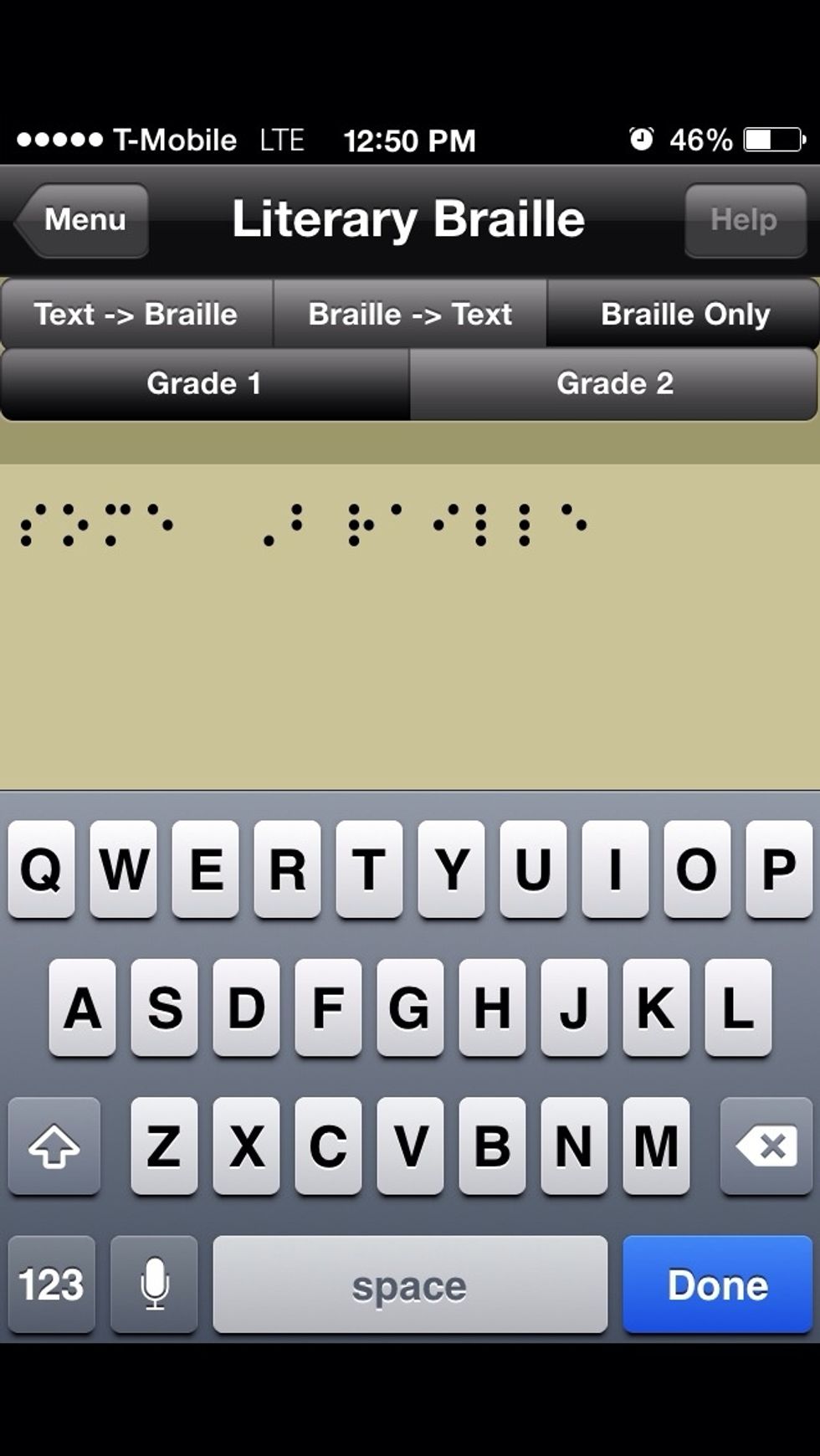 This view will only show Braille input.