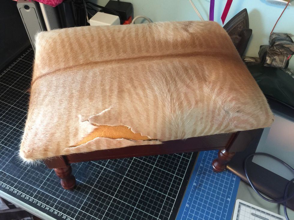 This was my old rotten little bench