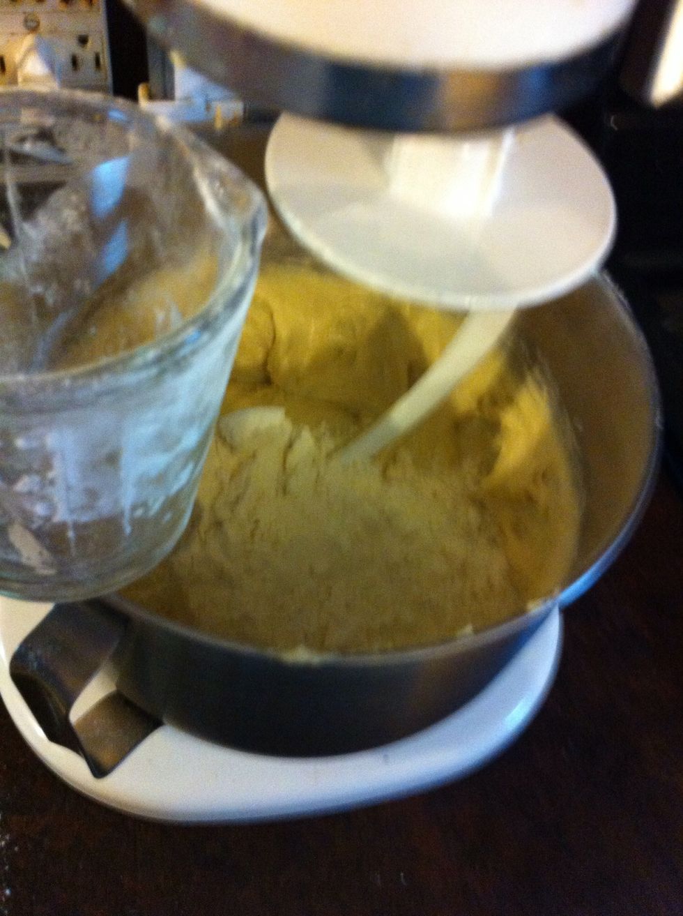 This will be the last of the kneading.
