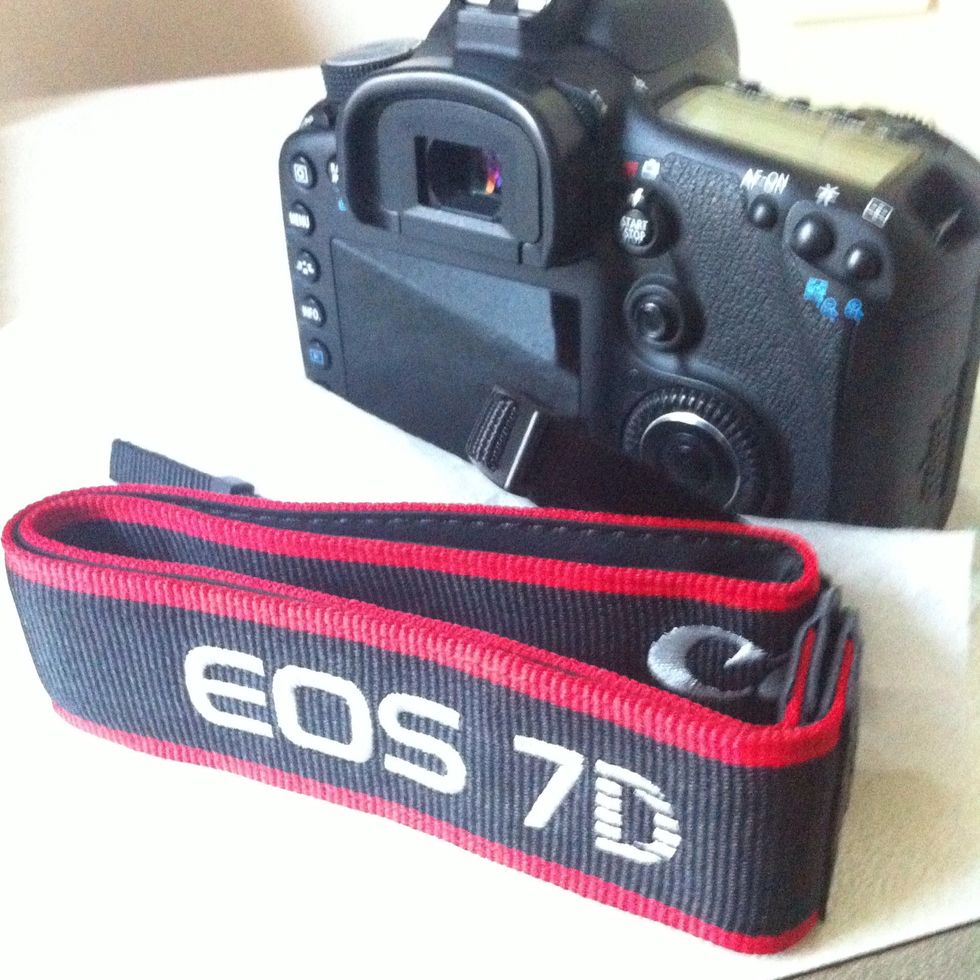 This will be the strap and the camera unit