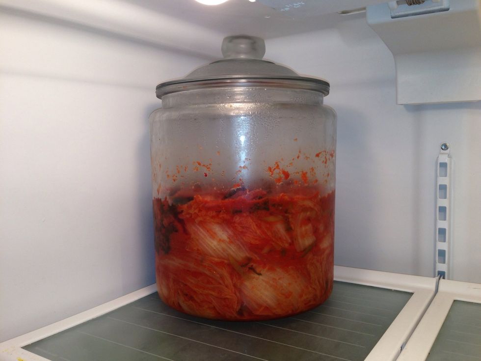 This will keep for... weeks, in my house, but it'll be stable for years if you treat it right. Avoid letting the tops stay out of the kimchi broth. The microbial action keeps it probiotic-packed!