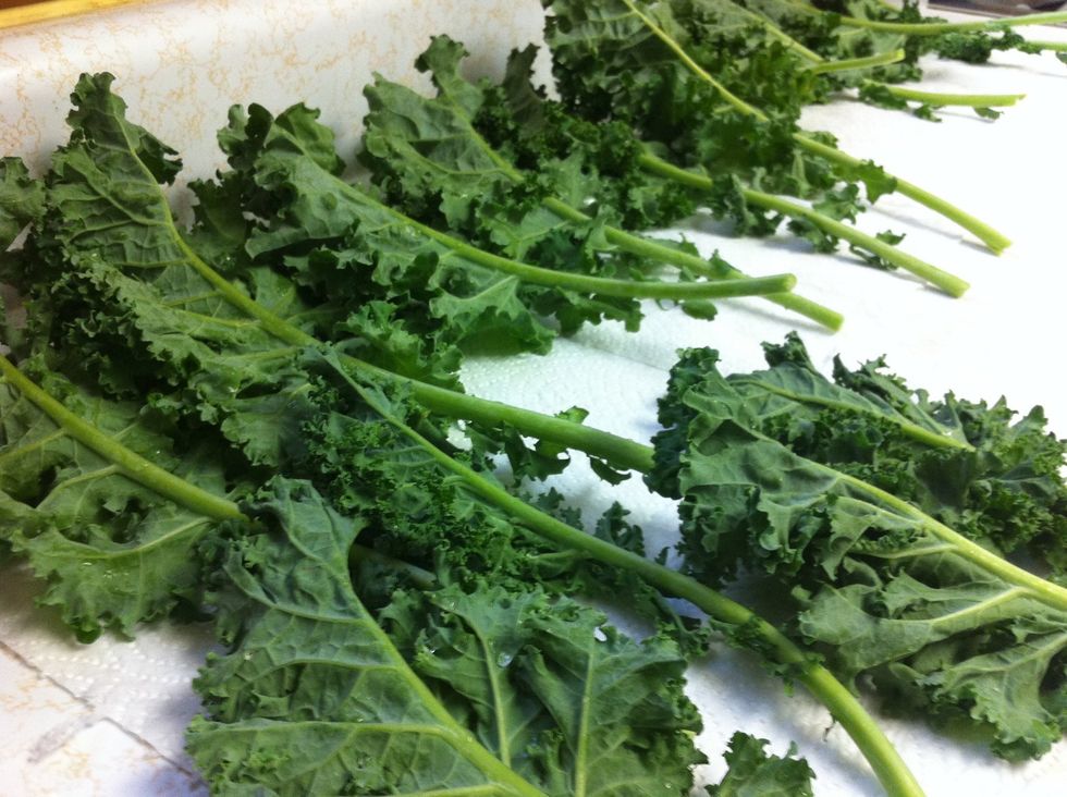 Thoroughly wash your kale and allow it to dry.
