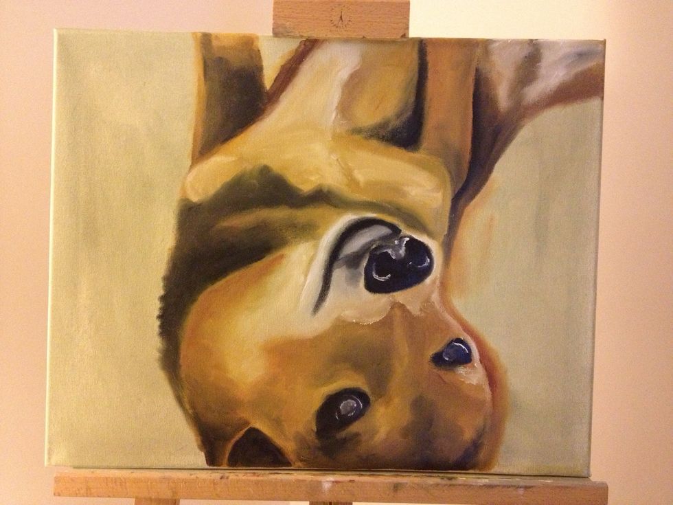 Throw some highlights on the eyes and nose. Round out the reflecting pupils with your pinky and tiny bit of white. Follow the outside of the nostrils as well.