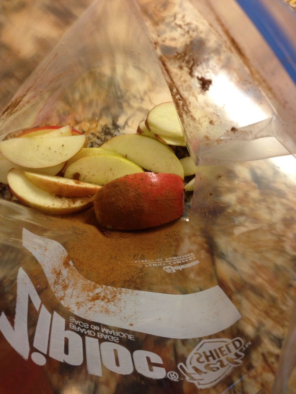 Throw your apples in a freezer ziplock baggy. Shake in some cinnamon! I like a lot :)