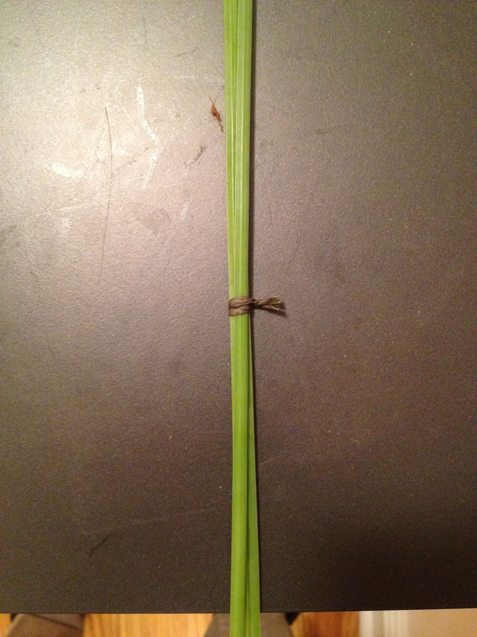 Tie 3 pieces of steel grass together about 4 inches above where you will cut. Trim the wire.