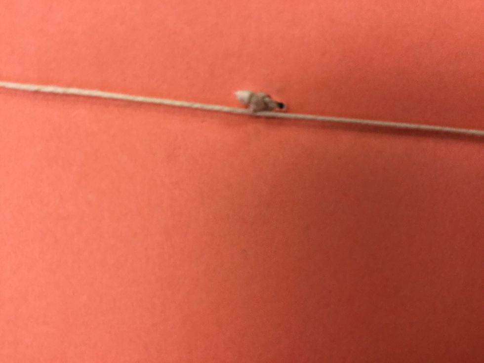 Tie a quadruple knot