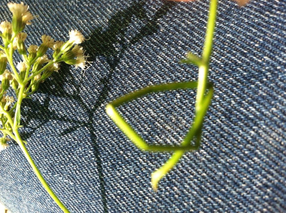 Tie an overhand knot