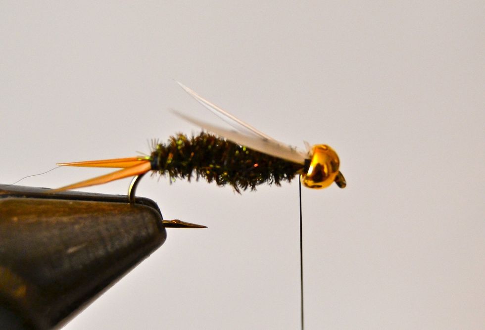 Tie in another biot barb on the NEAR side in the same manner as the previous step. (See picture). (These last two steps form the wings).