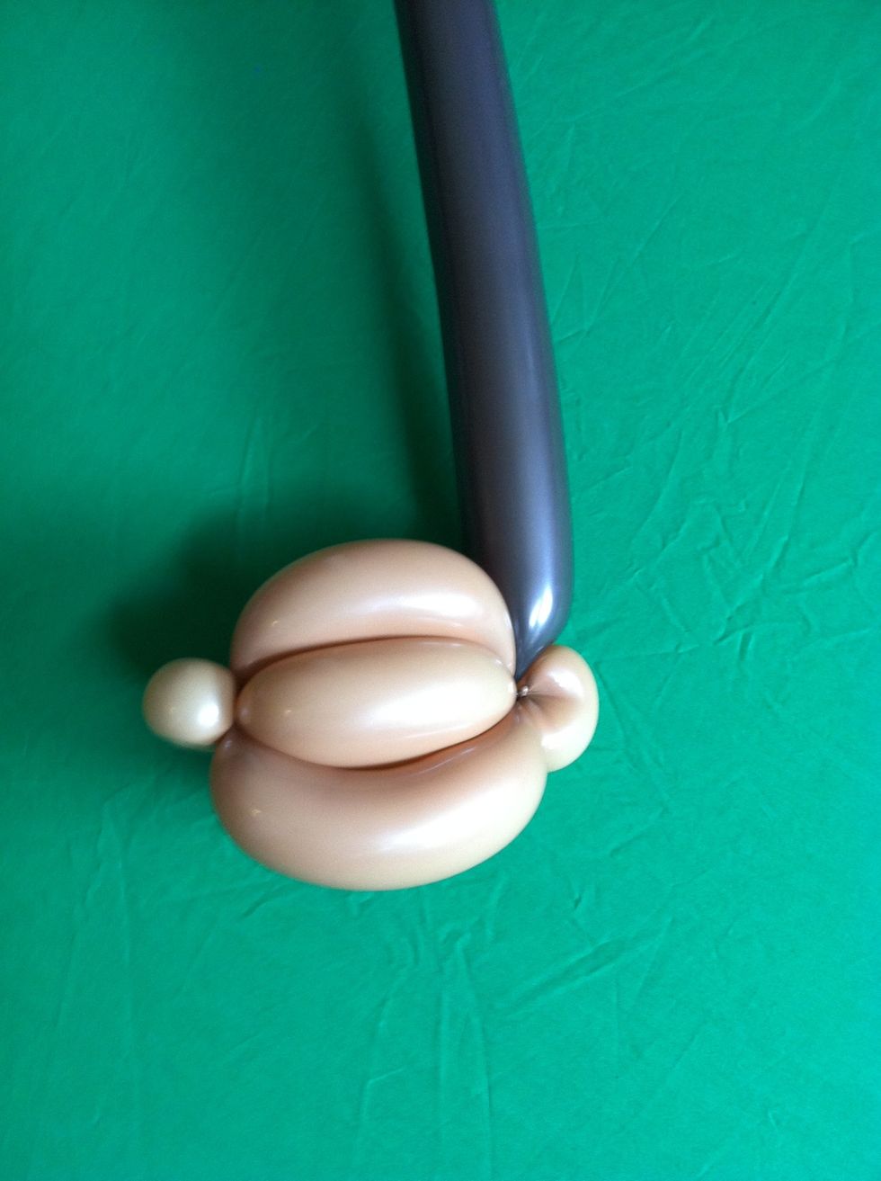 Tie in to ear from nozzle- this will become hair.