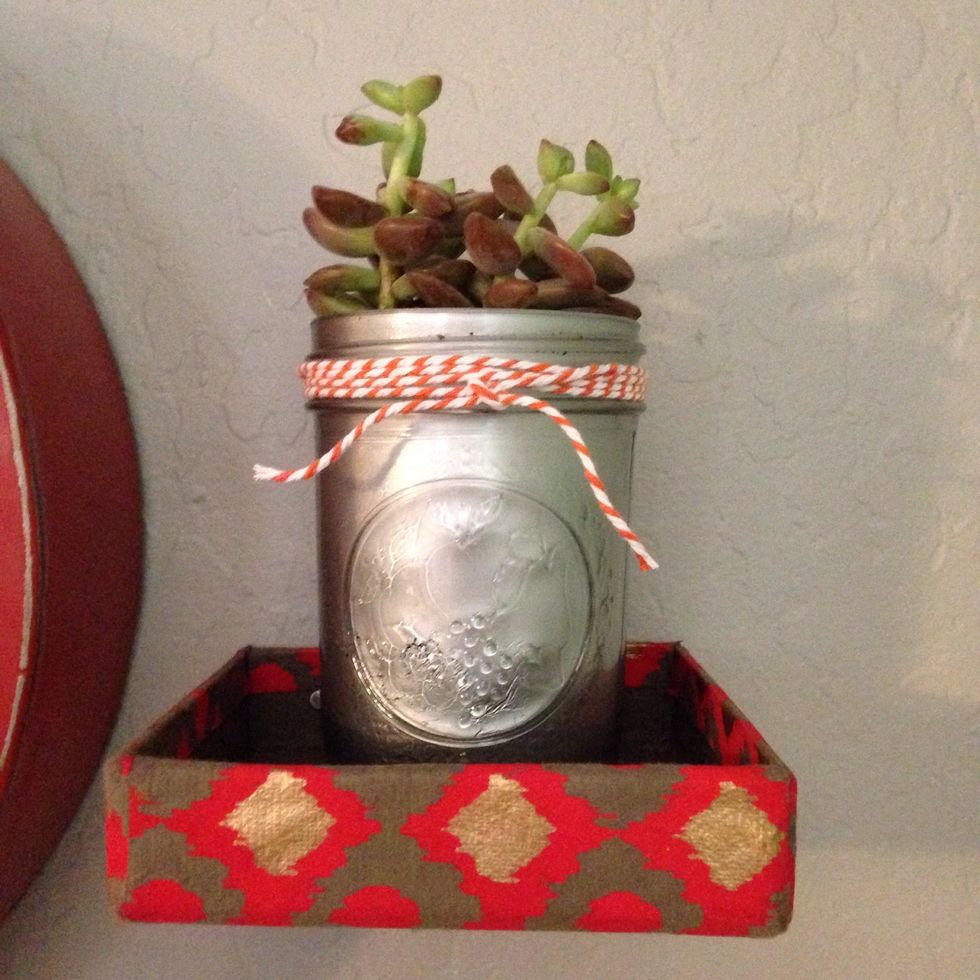 Tie some bakers twine around the outside and display in your home! Don't forget to water it occasionally : )