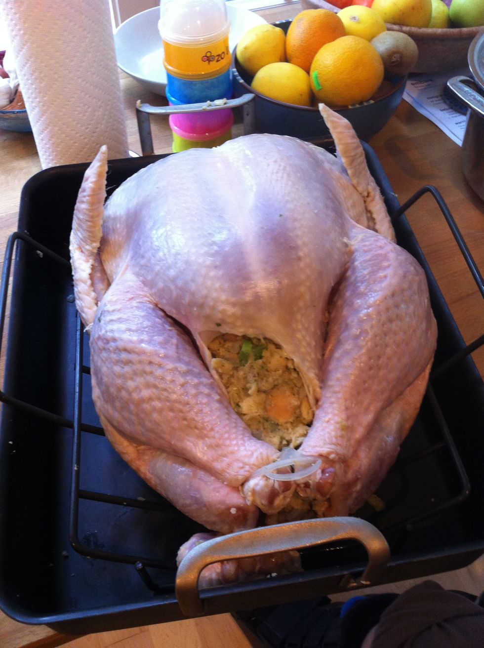 Tie the legs back together and appreciate your stuffed bird.