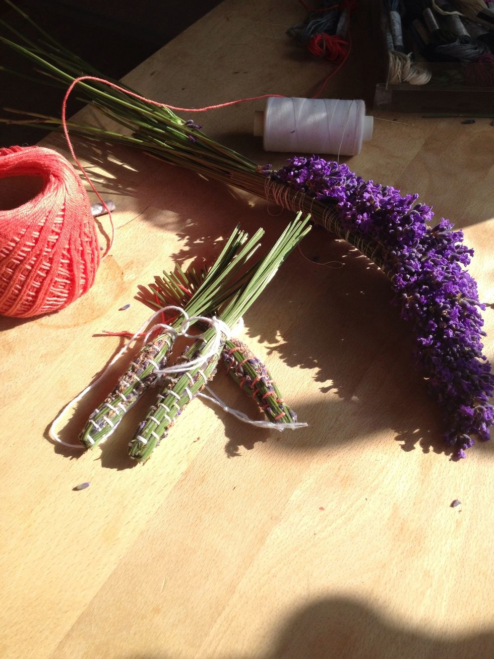 Tie the two ends together so you can hang the lavender. Rumour has it that lavender will protect against moths. Tying the lavender like this prevents the flowers from falling off when dry.