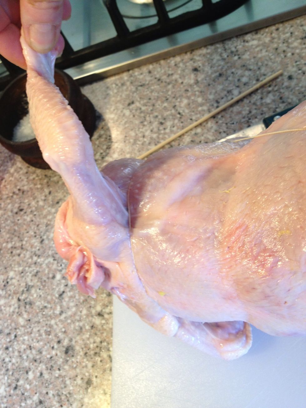 Tie your bird starting under the wings. Use cotton string.