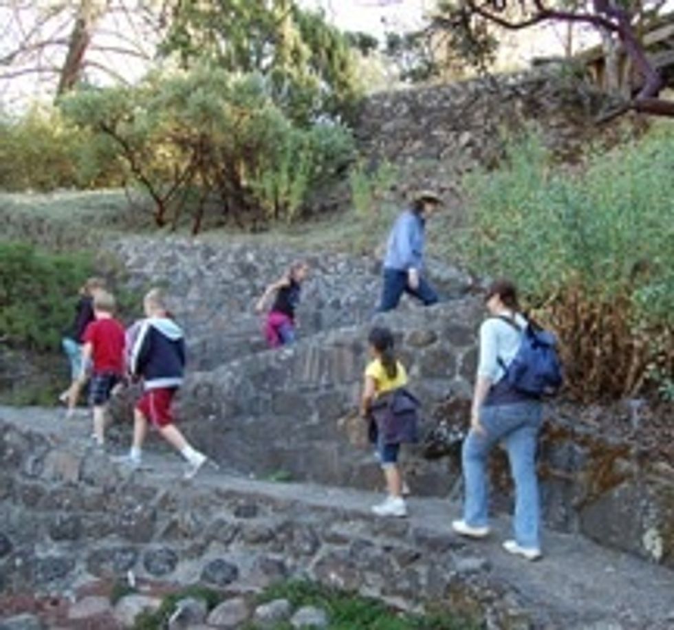 Tilden Park is a 2,079-acre regional park. Hike, picnic, visit the animals at the Little Farm & visit the Botanic Garden - all for free. For a few bucks, swim in Lake Anza or ride miniature trains.