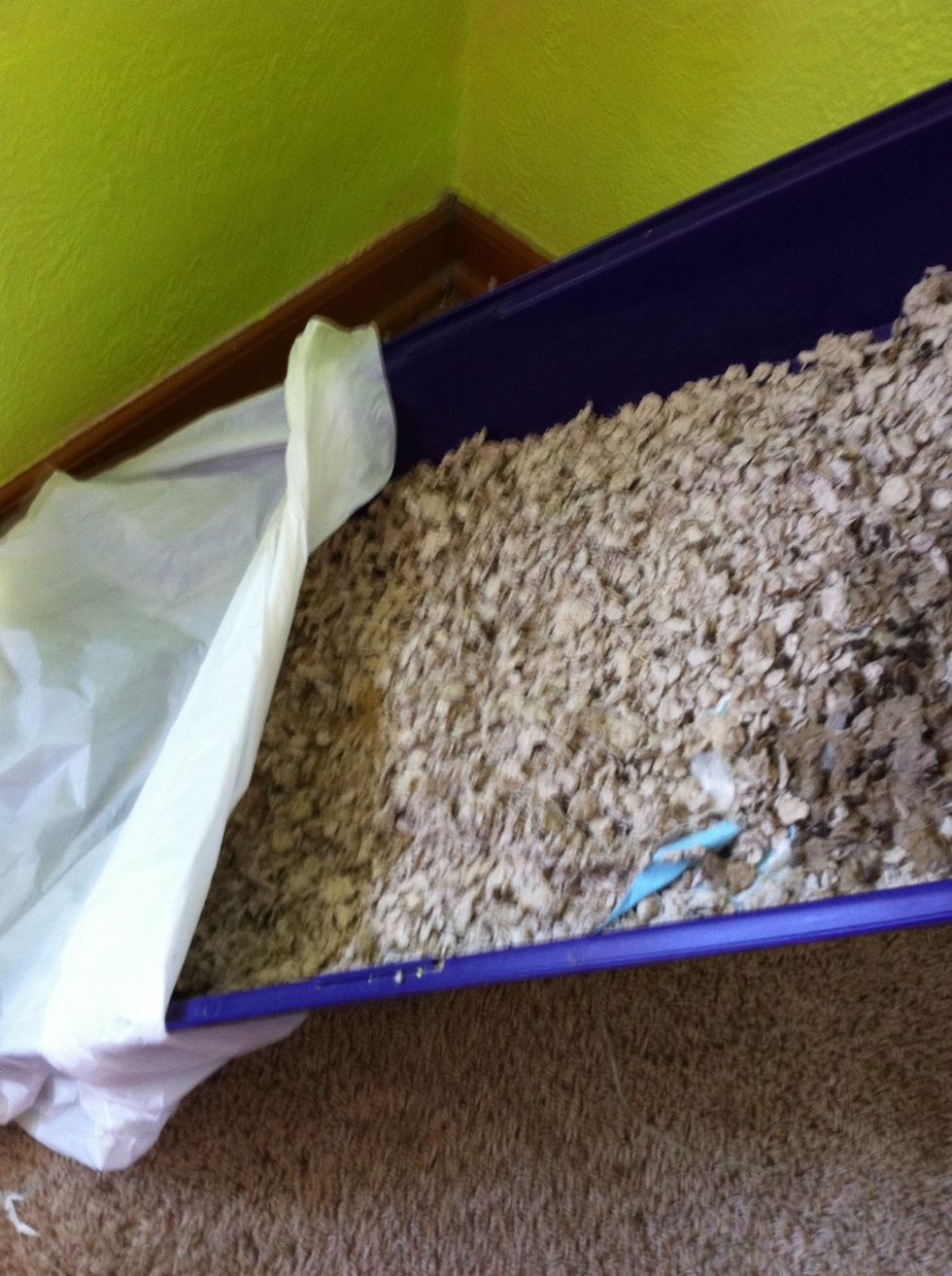 Tilt the plastic bottom until the bedding falls into the bag (you may need to use some rubber gloves and help it)