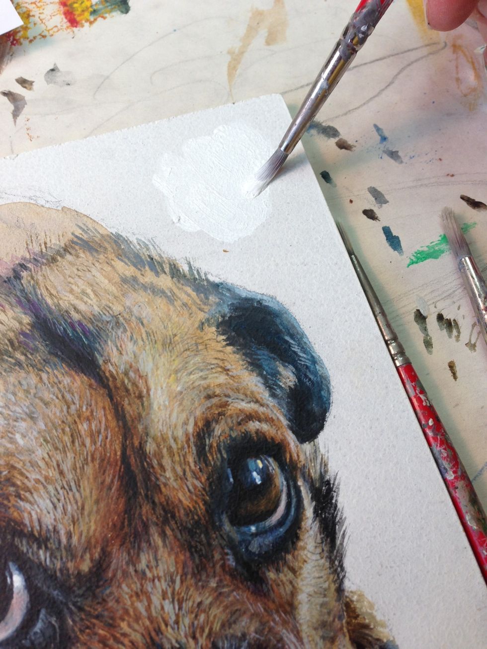 Time out to develop the background. Often with my dog portraits I use white with a little shadowing. These are the only paintings I don't do background first on.