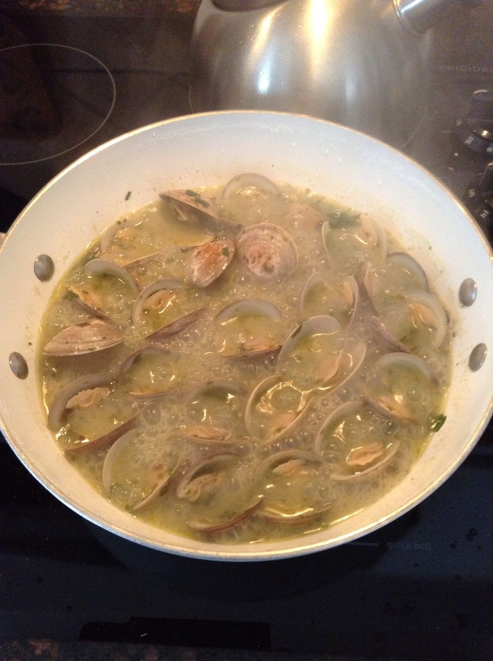 Time to check on the clams in the "Hot Tub". Wow, they've sure opened up & look happy.