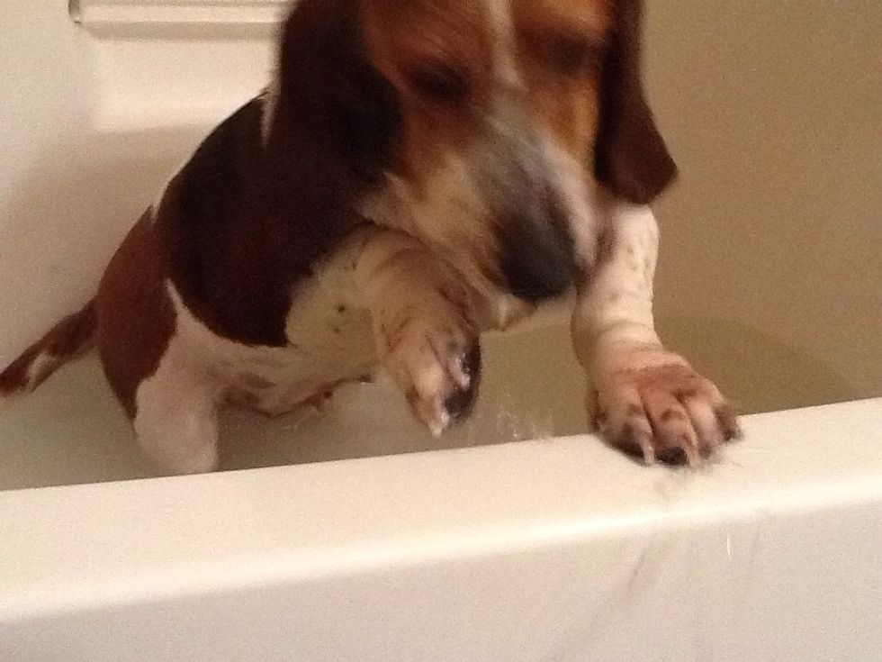 Time to get out of the bath tub:)