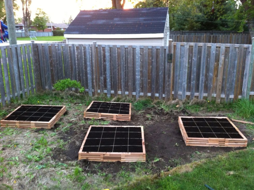 Time to plant your seeds. Have fun.