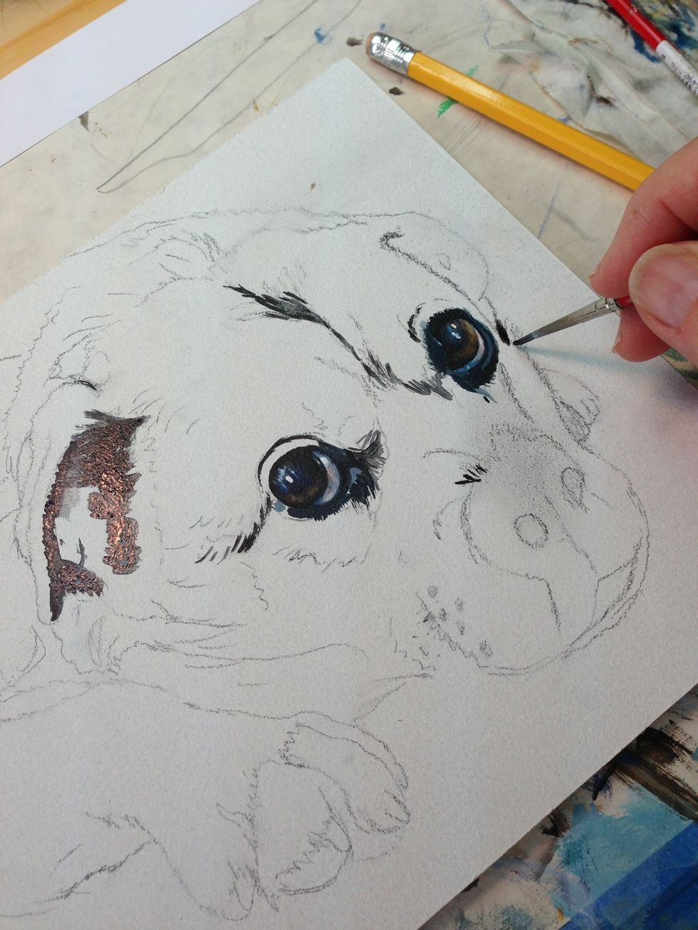 Time to start on the face and ears.