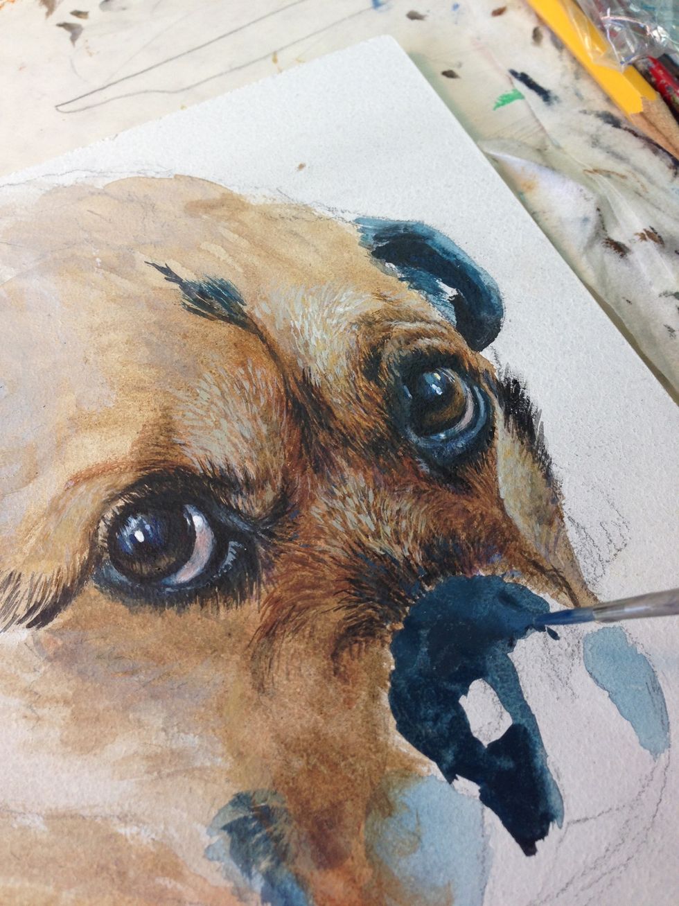 Time to start on the nose and muzzle.