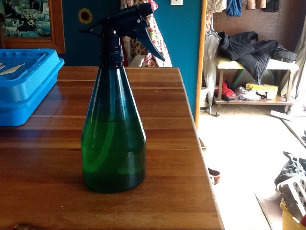 Time warp-two weeks later! Pour the liquid into your chosen bottle discarding the peels. I always start a new jar so when this bottle is empty I already have some more made