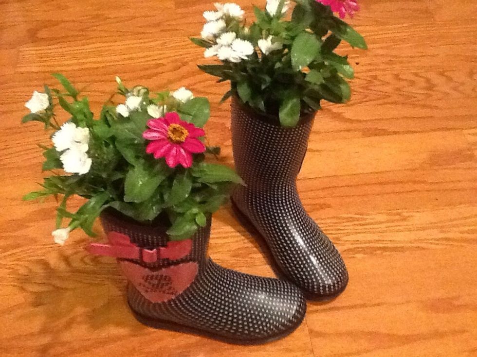Tips:  These flowers will go in a sunny area, pick plants for the amount of sun/shade you have.   Any old boots or backpacks also can be planted.  Have fun with it!