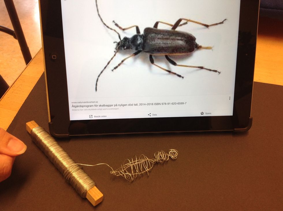 Titta p\u00e5 din bild p\u00e5 insekten och se hur vingarna ser ut. Vira metalltr\u00e5den diagonalt.