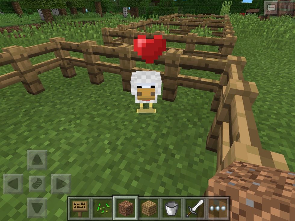 To breed chickens, you'll need to give them wheat seeds. Small hearts will appear over the mobs head when it enters 'Love Mode'. Of course, to breed, you'll need two adult chickens.