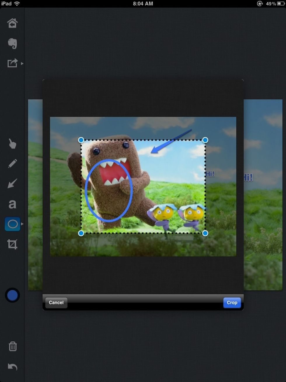 To crop click on the box with a diagonal line through it and crop.