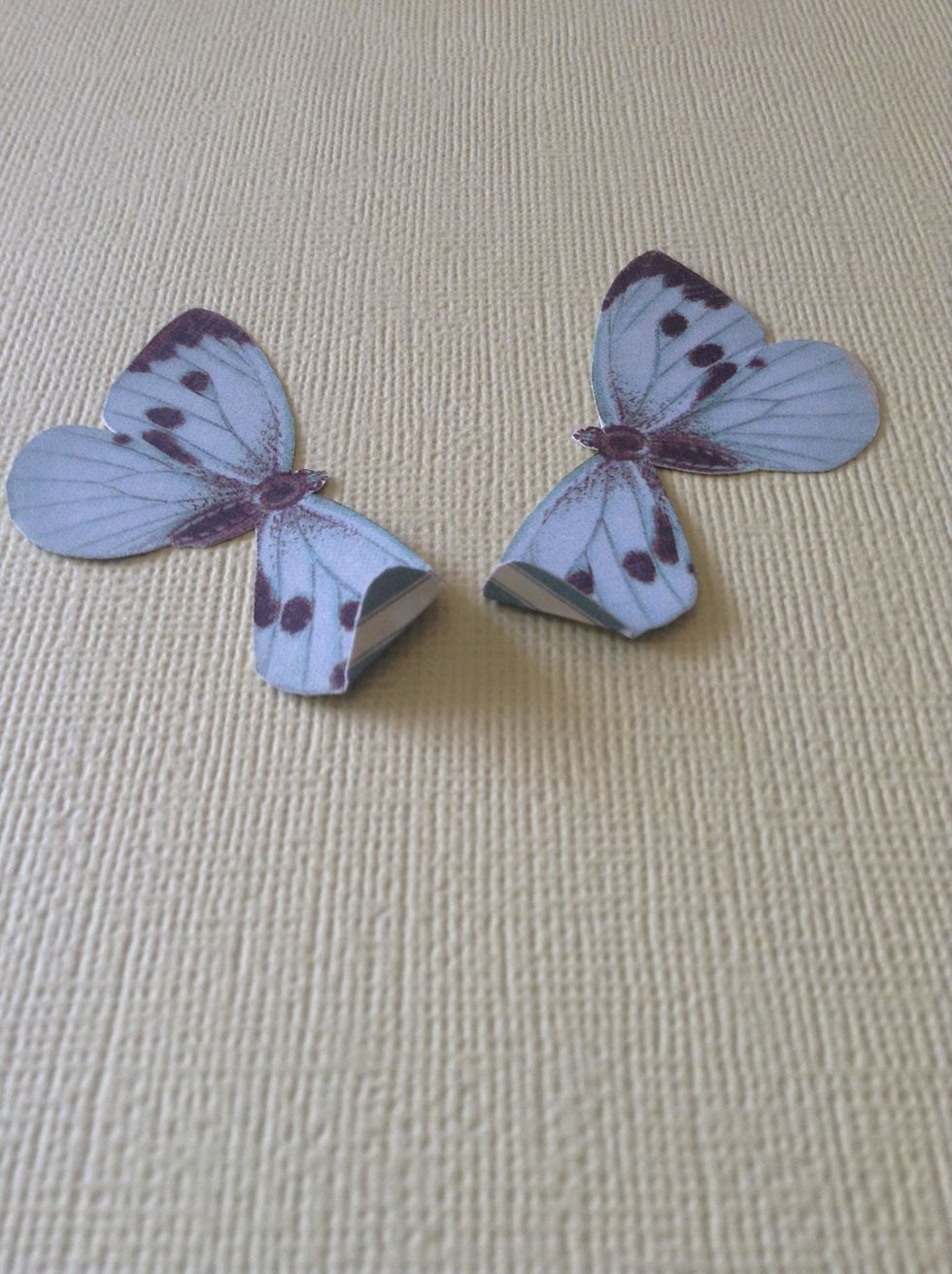 To double the butterflies for this side