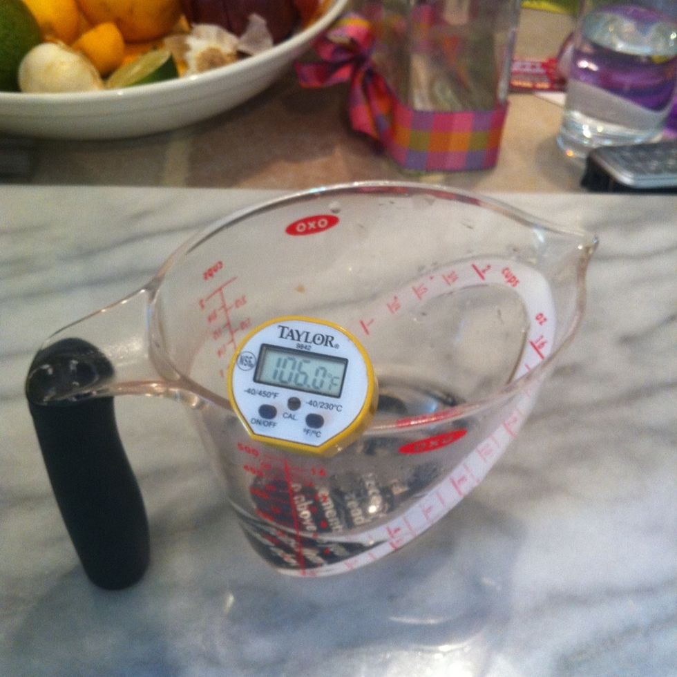 To get the yeast started, measure out 4oz of water between 100 and 110 degrees Fahrenheit (37.7 Celsius).