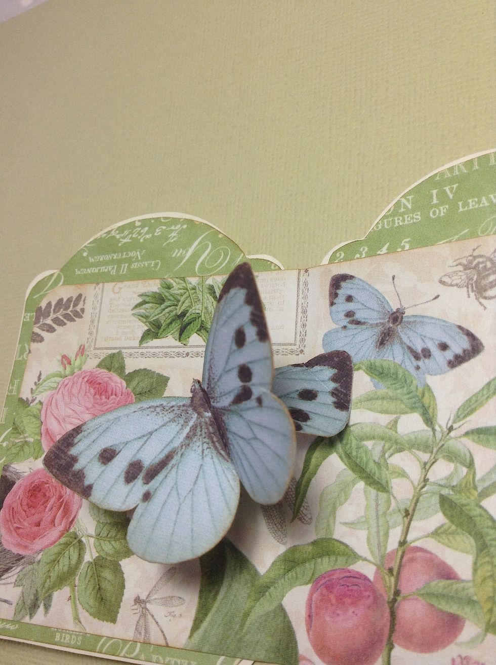 to glue the butterlies where we doubled before in the brands of the paper..