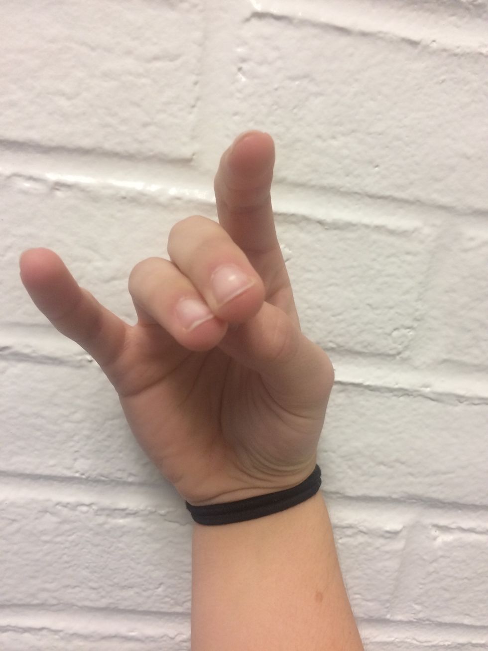 To hold the bow properly, make your fingers into a lama shape with your thumb tucked under and your pinky and pointer fingers up in the air and the middle and ring over the thumb.