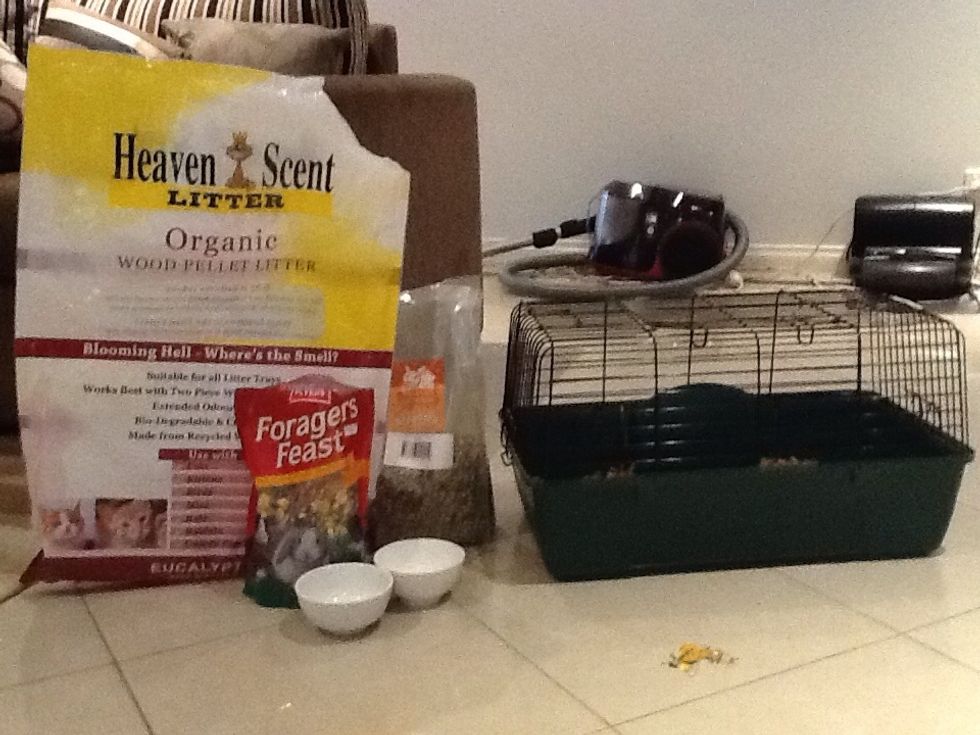 To look after your Guinea Pig you will be needing a cage (for its home), two bowls (for food and warter), Foragers Feast (treats for your guinea Pig), Kirby's rabbit food standard and Heaven Scent