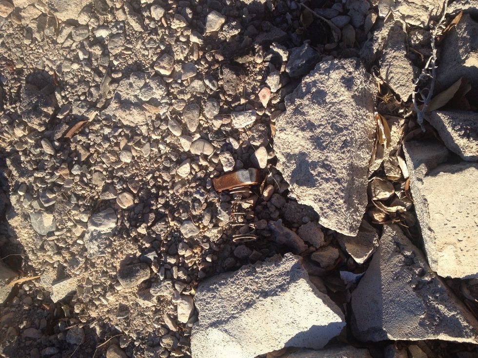 To me this might be a stinger or perhaps an eye socket....hidden in the dirt just like a diamond would be. I truly call this treasure hunting. Seeing life and objects from a different viewpoint is key