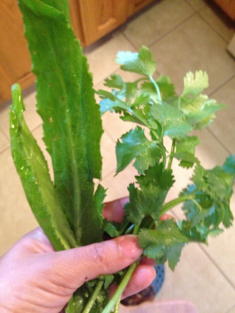 How to make sofrito B+C Guides