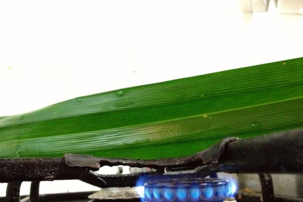 To prepare screwpine leaves, clean and gently heat to bring out the aromatic oils from leaves. Good to glide leaves along a gas cooker fairly swiftly. You don't want to end up scorching the leaves.