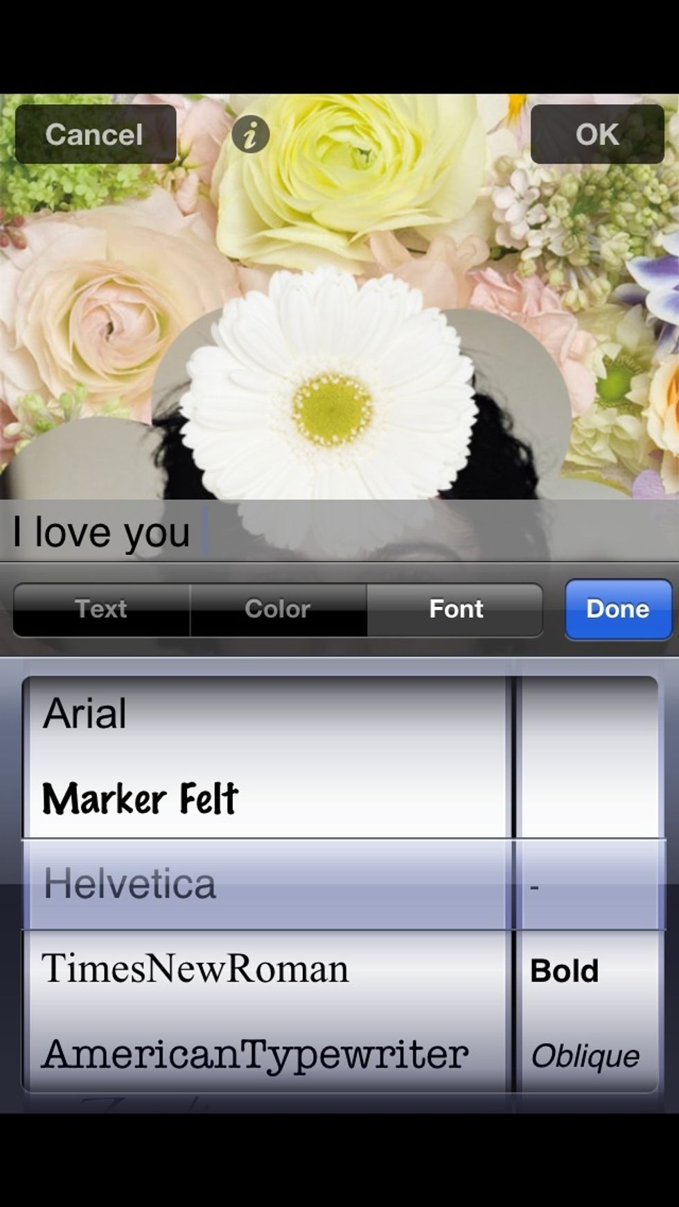 to put text, click 'text' and choose a color and font