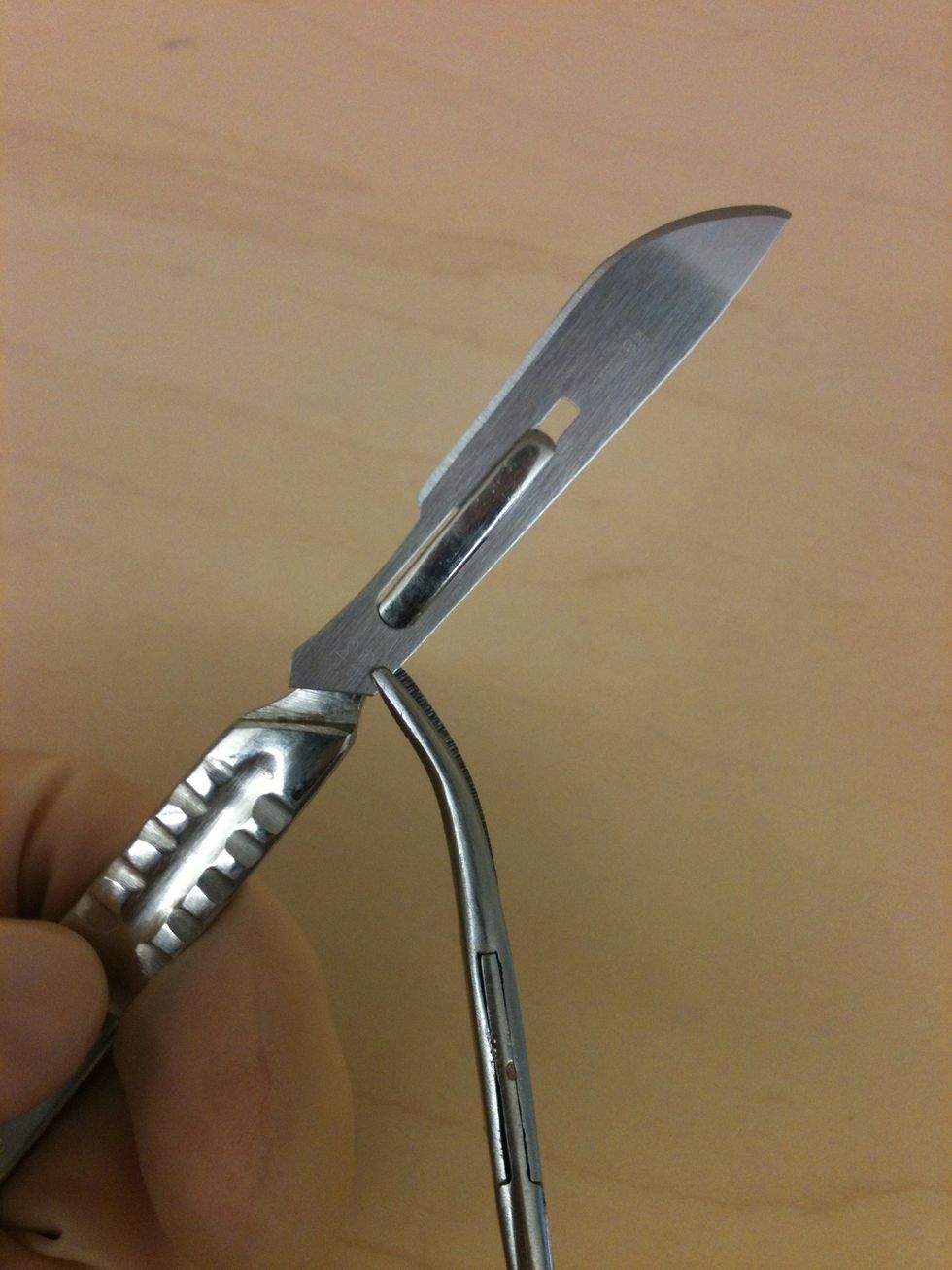 To remove the blade, clamp the base with a pair of hemostats. Lift the base of the blade slightly and begin pushing it off the handle. Make sure no one is in front of you as you remove the blade.