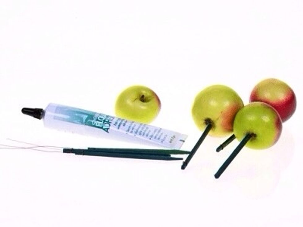 To secure the fruit in the pot insert a wood pick at the base. A dab of Oasis floral adhesive (cold glue) at the base will secure the pick in place.