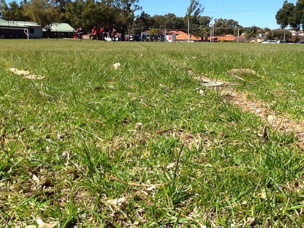 To start, you will need a track to run on. My track is at a large oval, and it is 100 metres. If you have no tracks nearby you, search on Google or the Street Maps for a park to run on.