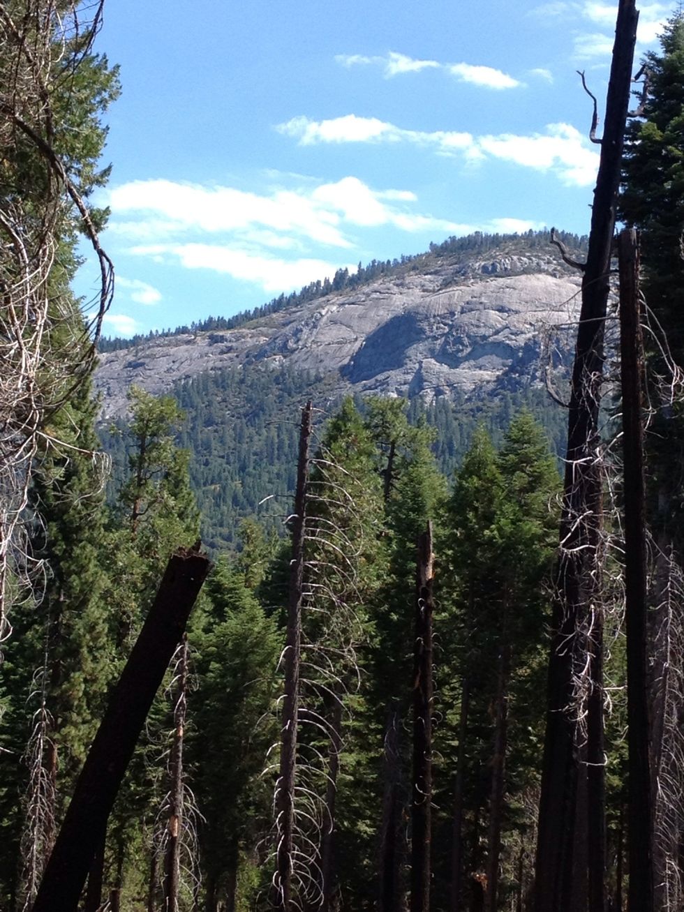 To the left, you'll see the Wawona Dome across the south fork of the Merced river. In spring, you may be able to see Chilnualna Falls from the shoulder of the dome.