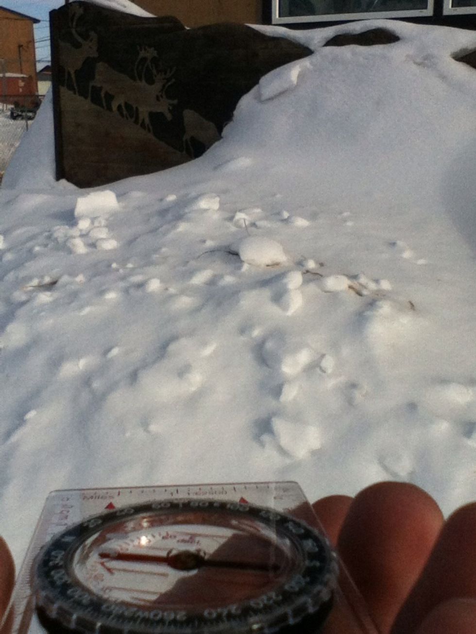 To travel in that direction, hold the compass flat, straight out in front of you. Turn your body until the middle arrows line up together.  Site down the compass, find a landmark and walk to it.