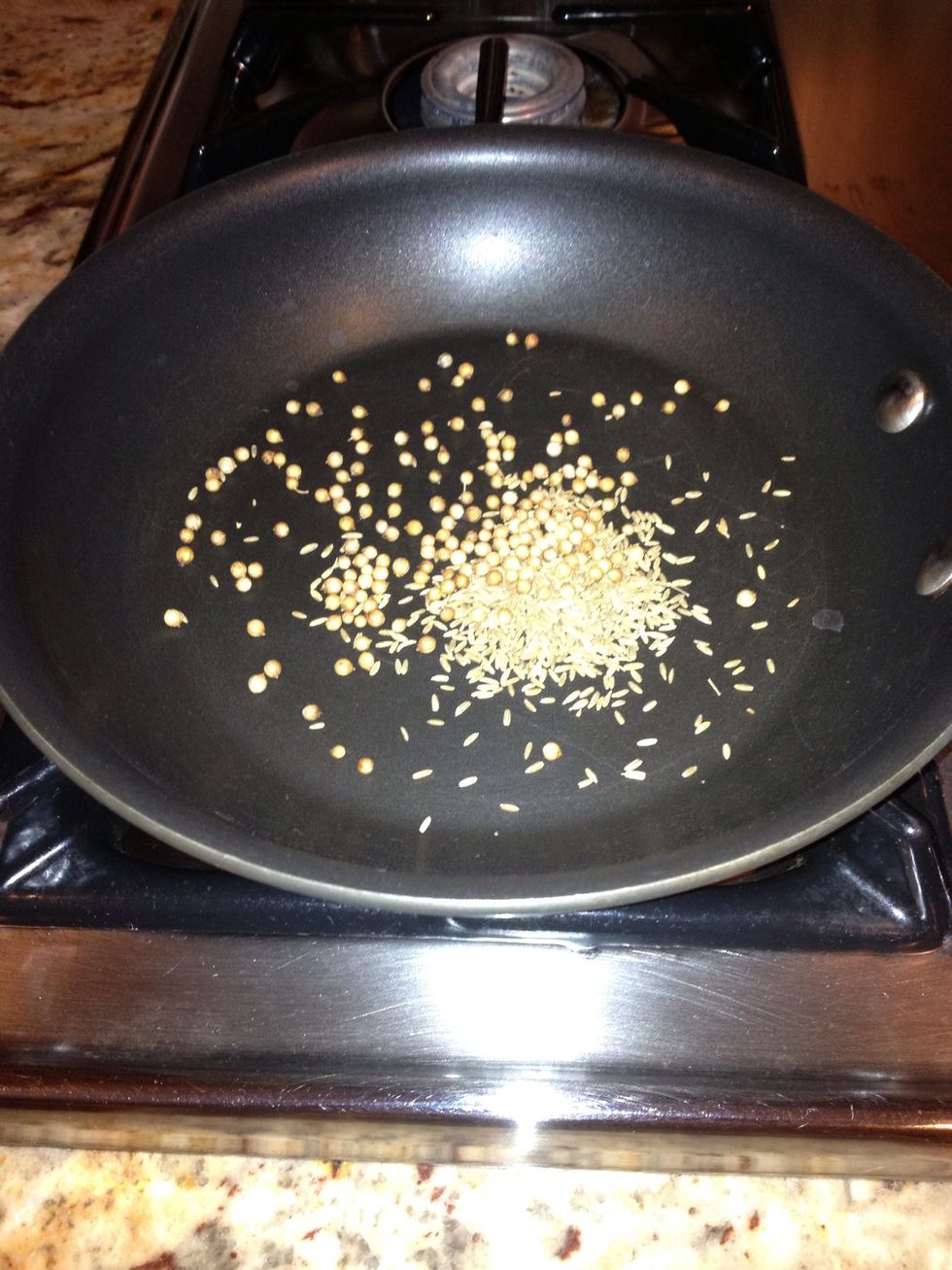 Toast the cumin and coriander seeds in a small dry skillet for about a minute, until just fragrant.