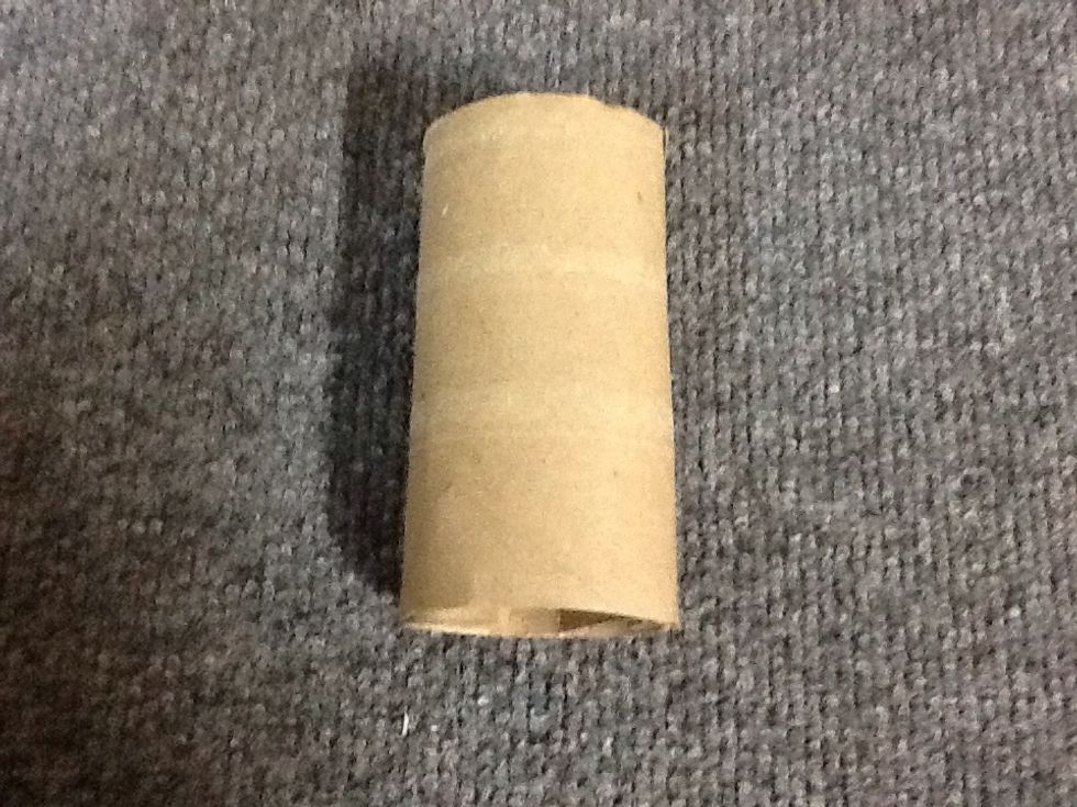 Toilet paper rolls.