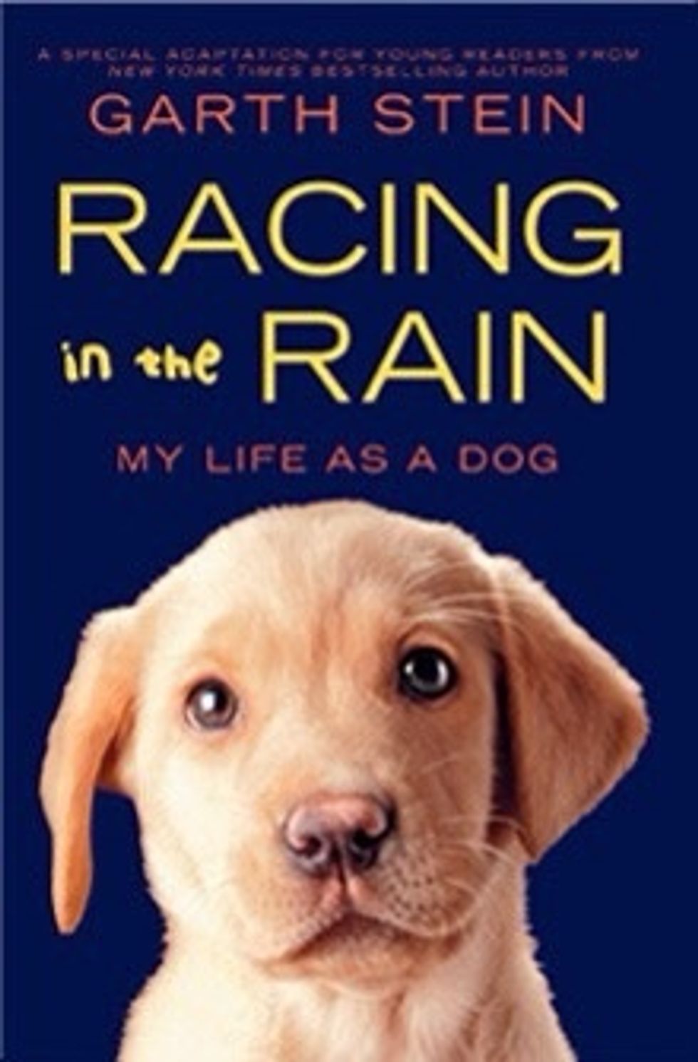 Told from a dog somewhat depressing although very entertaining