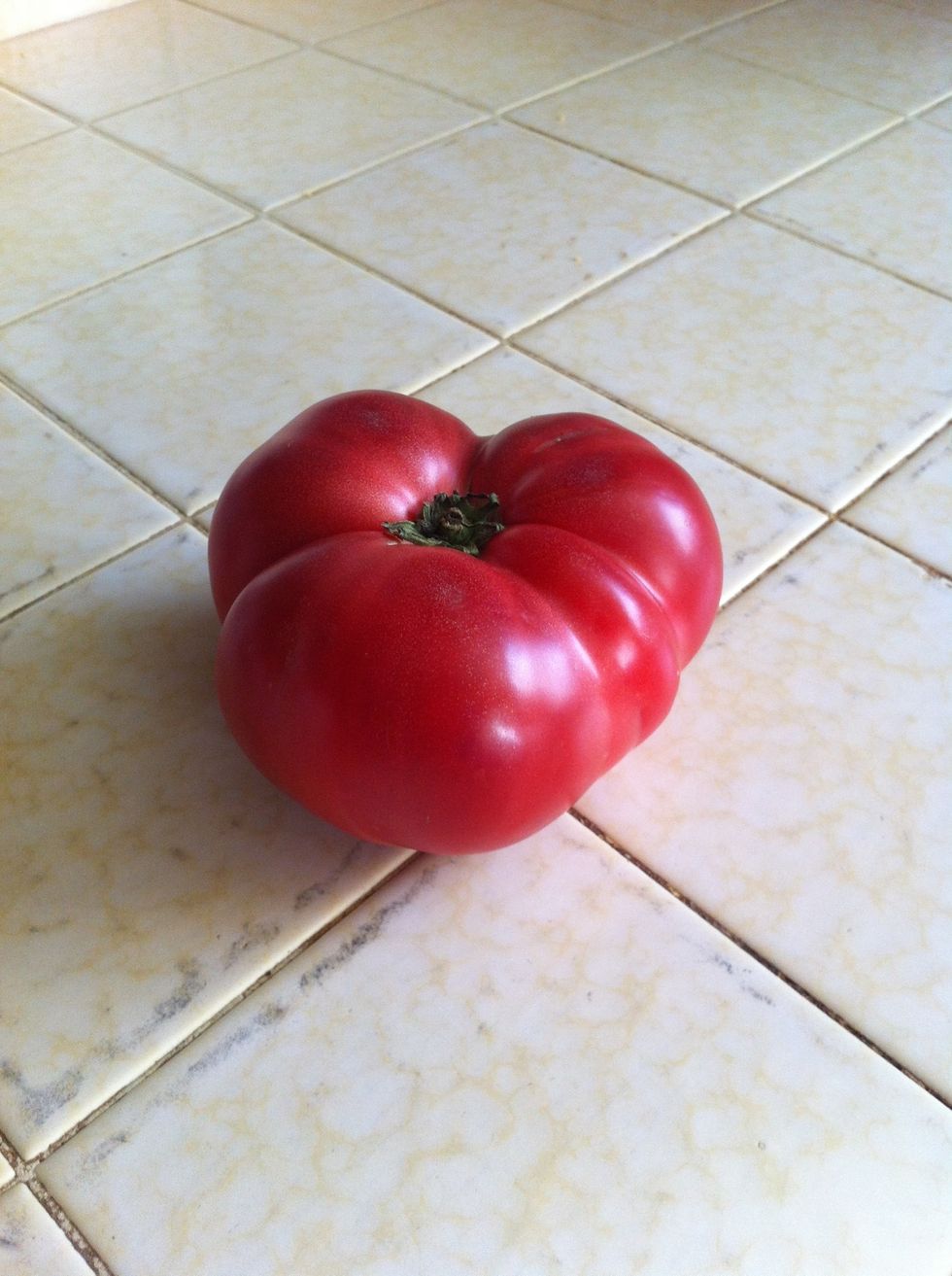 Tomato