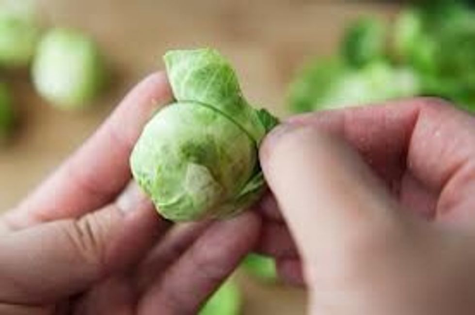 Tools: cutting board, knife Task: Cut ends off Brussels sprouts and bruised leaves.