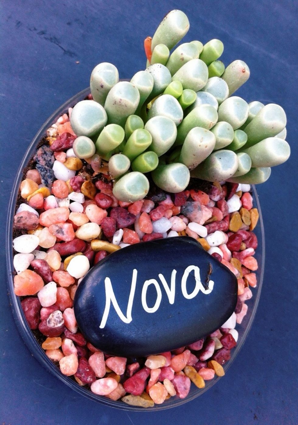 Top it off by writing a guest\u2019s name on a black polished stone using a silver metallic Sharpie.